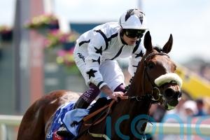 Clifford Lee back in business after Al Qareem’s Goliath strike