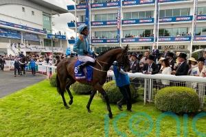 Charlie Johnston taking patient approach with Lazy Griff