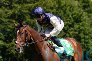 Sprint plot afoot for Royal Fixation