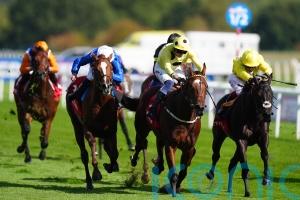 Avicenna pencilled in for Guineas trial starting point