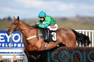 Pauling looking to the future with The Jukebox Kid