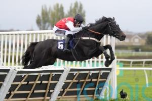 Minella Study aiming to do Nicol proud once more