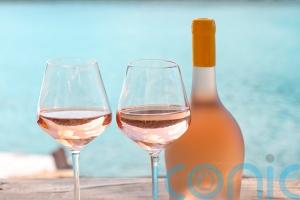 It’s rose season – 7 superb wines to drink al fresco
