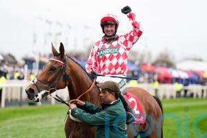 Jango Baie gains Cheltenham compensation with Bowl glory