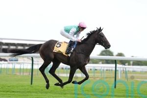 Publish ruled out of 2000 Guineas