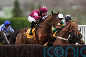 Gold Dancer suffers fatal injury in Aintree victory