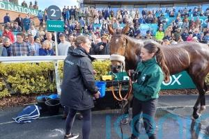 Iroko will get his day in the spotlight, insists Guerriero