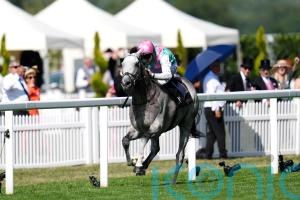 Field Of Gold set for seasonal reappearance in bet365 Mile at Sandown