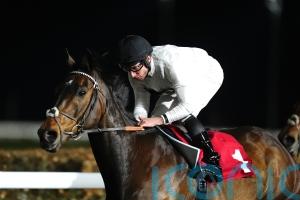 Quality opposition in store for Constitution Hill at Newbury