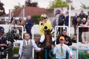 Bow Echo impresses on racecourse gallop ahead of 2000 Guineas tilt