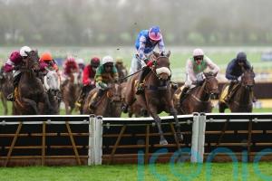 Festival winner White Noise star attraction at Haydock