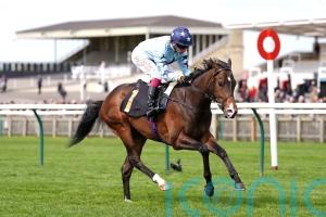 Adaay to remember for Palmer as Scarlett sparks Ascot dreams