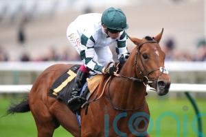 Double Rush creates big impression on first run for Balding