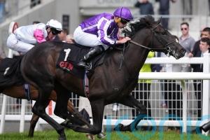 Albert Einstein in line for Newbury weekend appearance