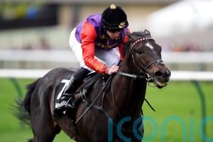 Portcullis makes huge impression in the colours of the King and Queen
