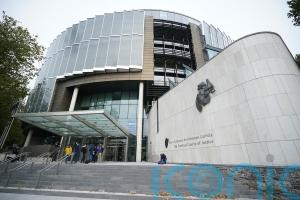 Court delays sentencing of IS supporter who stabbed garda