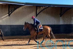 Minnie Hauk could return to action at Chester