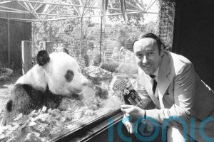 Desmond Morris remembered for ‘lifetime of curiosity and creativity’