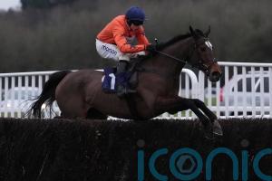 National fancy Panic Attack looking to end season on a high