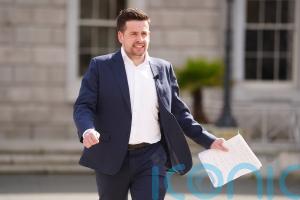 Proposal to privately rent out garden homes ‘a recipe for disaster’ – opposition