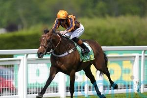Teal keen to roll the dice as Dancing Gemini returns in red hot Sandown clash
