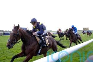 Connections convinced 1000 Guineas trip will suit Mubasimah