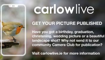 Got a festive picture over Christmas? Send it to the Carlow Camera Club!