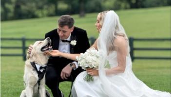 Hurling elite suited and booted as All-Star weds long-time love Elaine in lavish ceremony