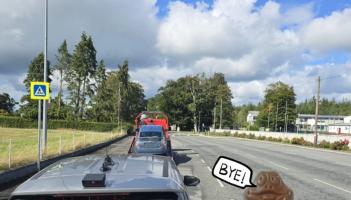 'Really tore into him!'- Gardai slate disqualified driver in hilarious Facebook post