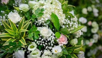 Death notices and funeral arrangements for Donegal on Sunday evening, October 5