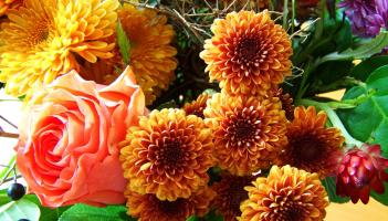 Death notices and funeral arrangements for Donegal on Sunday evening, October 5