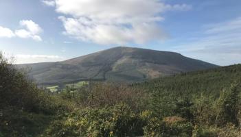 Tipperary Tipperary Tipperary 