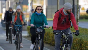 Kildare South TD calls for removal of 'road to nowhere' cycle lane in Moone/Timolin