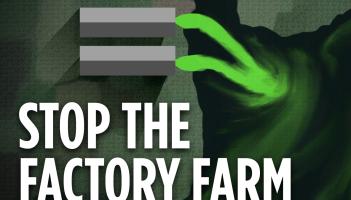 People Before Profit slam proposed Lough Neagh 'Mega-Farm'