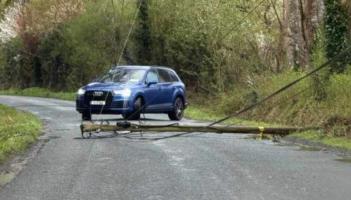 Telephone pole falls in Tipperary just days after being reported by concerned locals