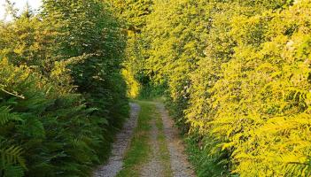 Si&ugrave;l Eile has organised a number of community walks at locations throughout Tipperary
