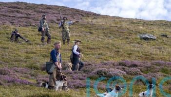 Glorious Twelfth: Grouse shooting season gets under way