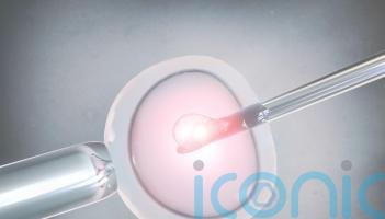 Co-IVF pregnancies may boost risk of serious complications, study suggests