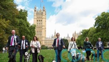 MPs joined by four-legged friends for Westminster dog show