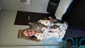 Missing cat reunited with owners after nine years thanks to microchip