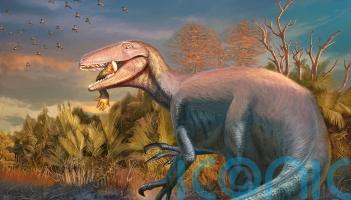 Scientists discover new dinosaur from Argentina with crocodile bone in its mouth