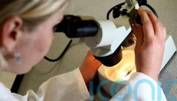‘Target’ for treatment for hard-to-treat cancer discovered by scientists
