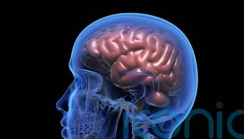 Scientists discover way to see tiny brain clusters that may trigger Parkinson’s