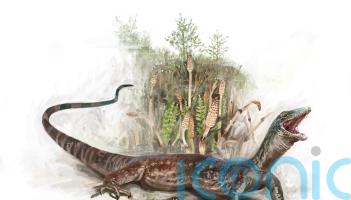 Fossil reveals new species of ancient Jurassic reptile which roamed Scotland