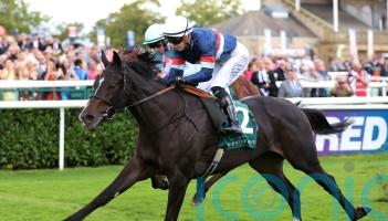 Calendar Girl given Oh So Sharp target