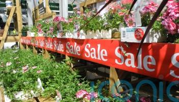 Money-saving tips to boost your borders