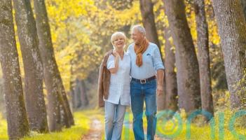 How to conduct an autumn health MOT