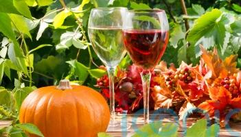 6 wines to cheer autumn and pair with comfort food