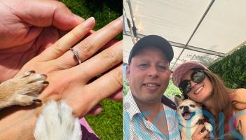 Woman says her dog’s ‘sixth sense’ helped her find her fiance and pup gave ‘blessing’ to get engaged