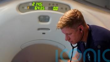 Three big cats have specialist CT scans to solve medical mystery